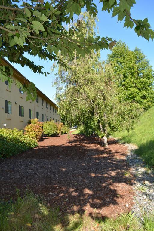 Motel Super 8 By Wyndham Port Angeles At Olympic National Park Extérieur photo